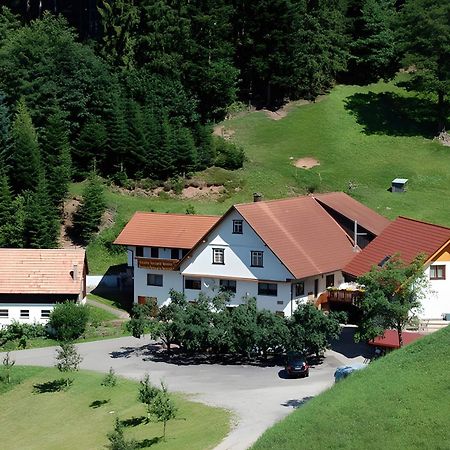 Holderstanzenhof Leilighet Bad Peterstal-Griesbach Eksteriør bilde