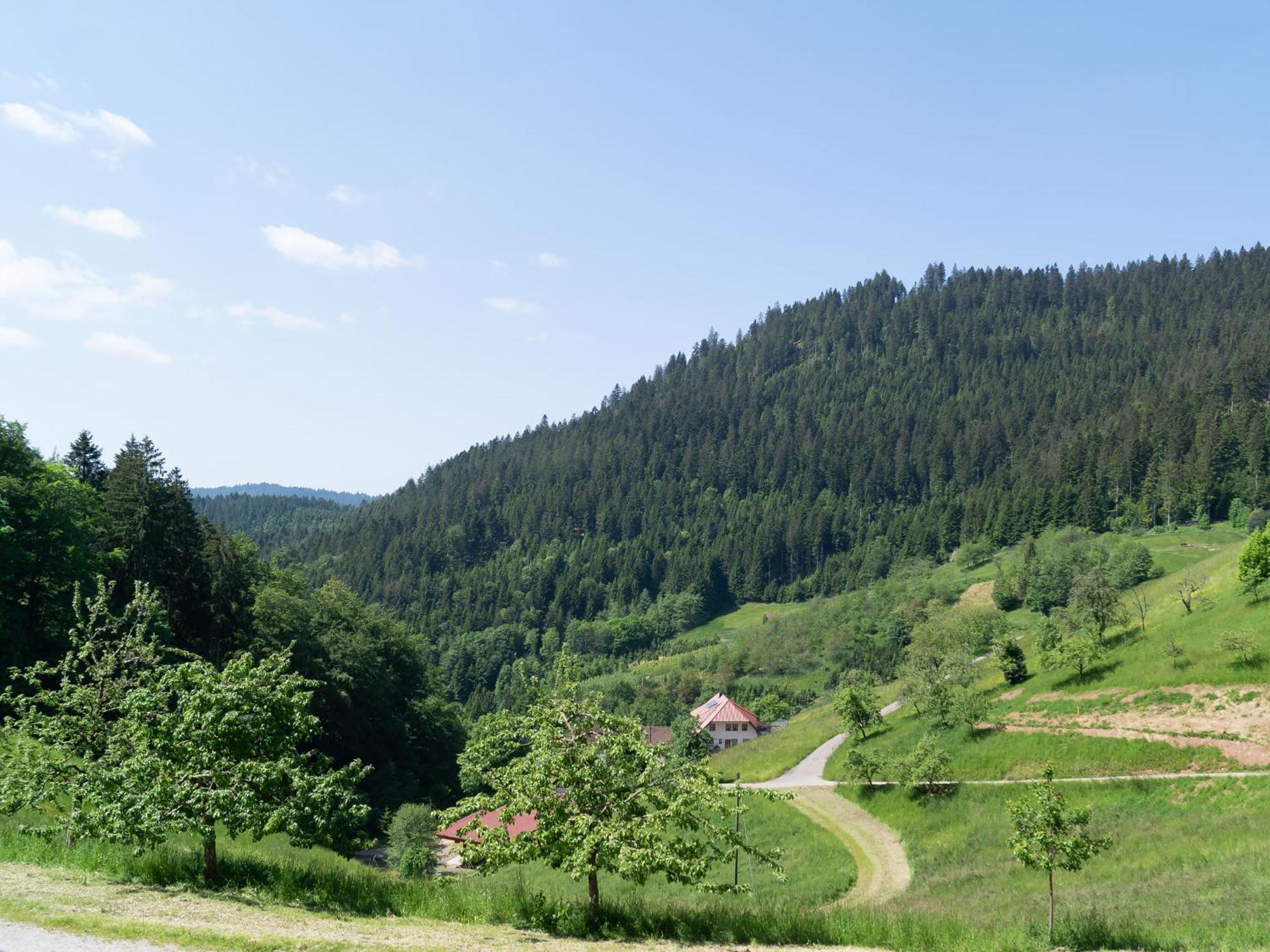Holderstanzenhof Leilighet Bad Peterstal-Griesbach Eksteriør bilde