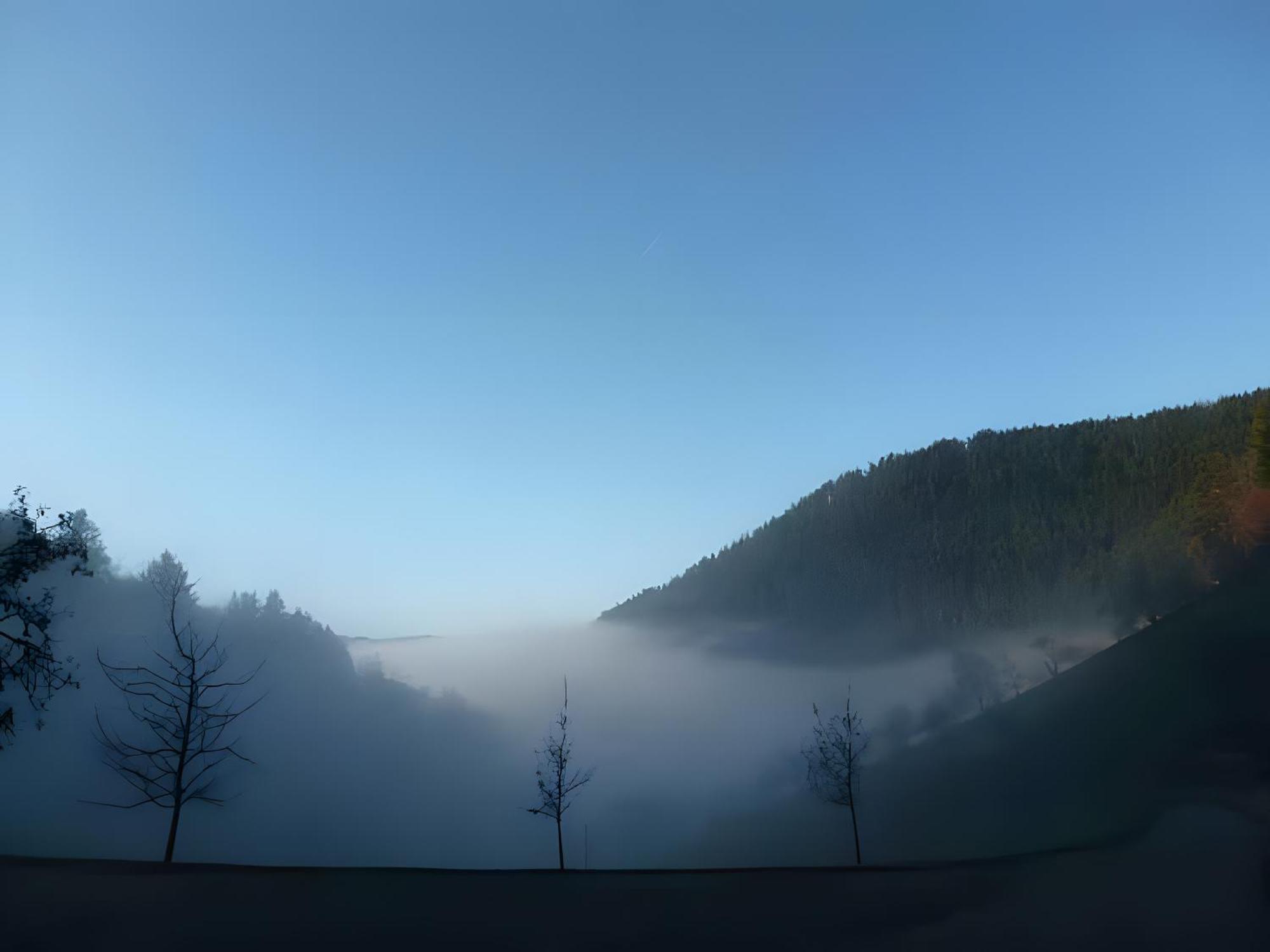 Holderstanzenhof Leilighet Bad Peterstal-Griesbach Eksteriør bilde