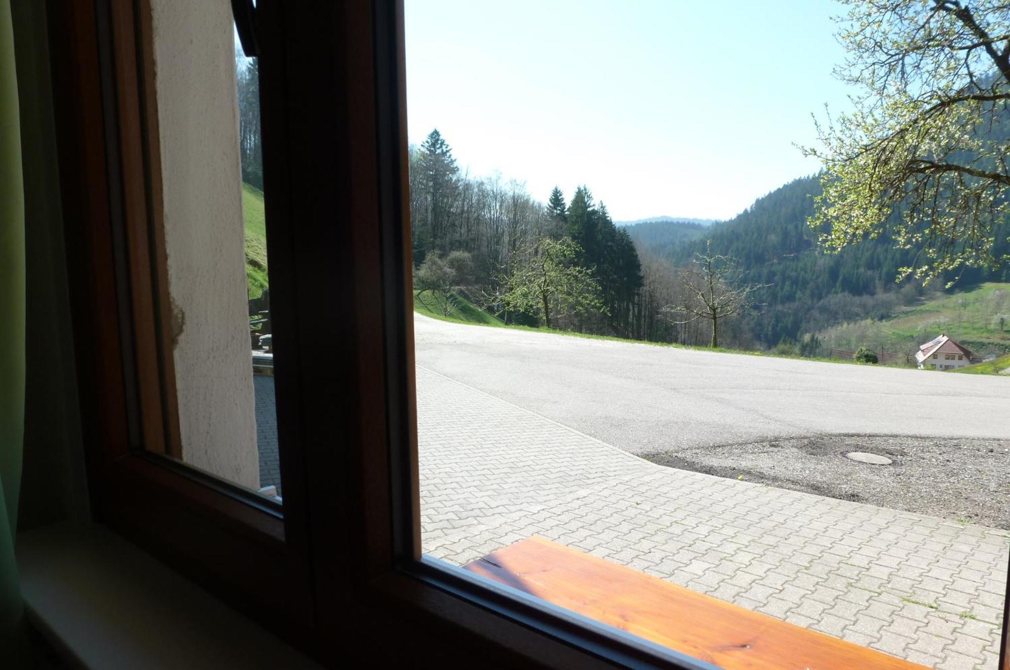 Holderstanzenhof Leilighet Bad Peterstal-Griesbach Eksteriør bilde