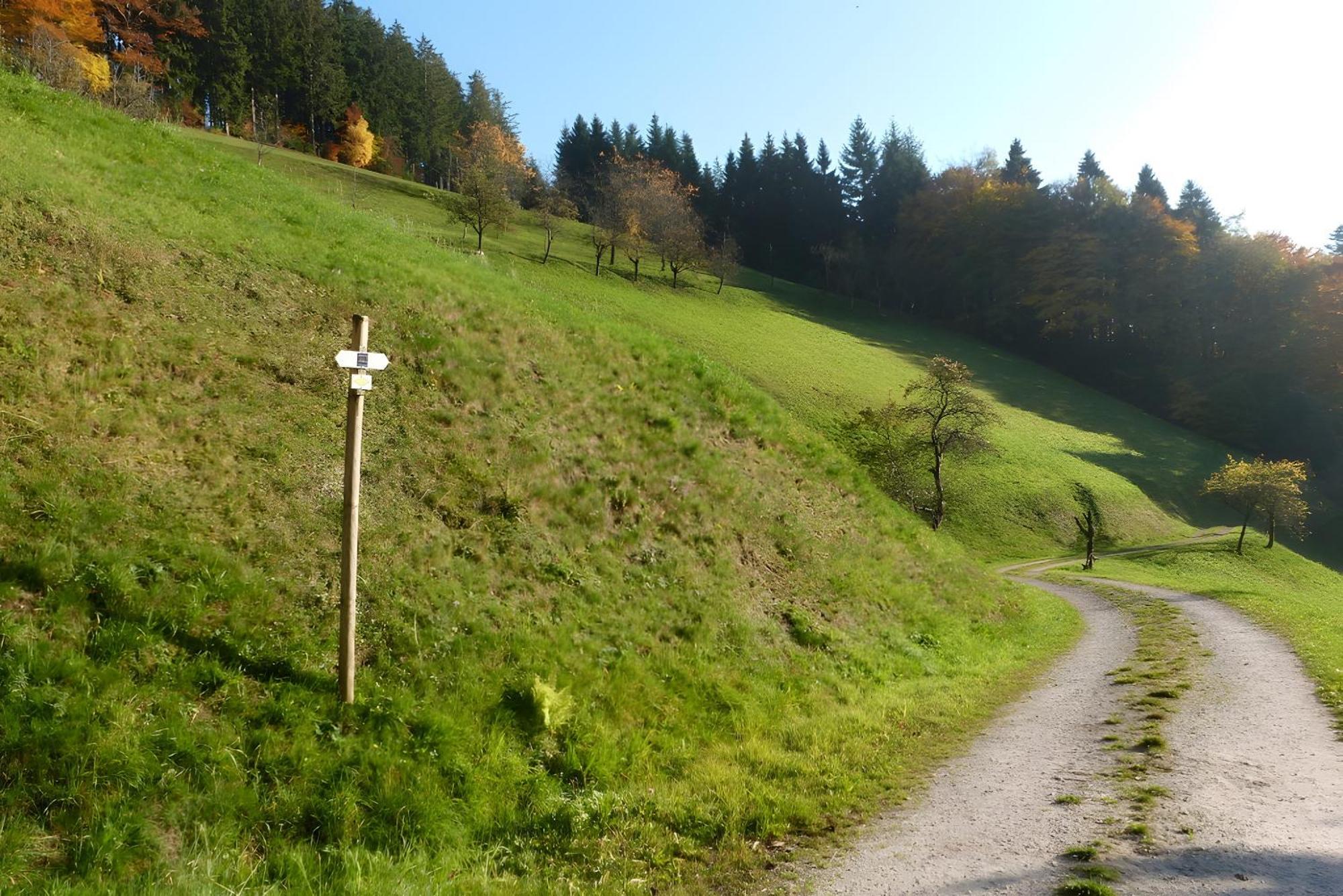 Holderstanzenhof Leilighet Bad Peterstal-Griesbach Eksteriør bilde